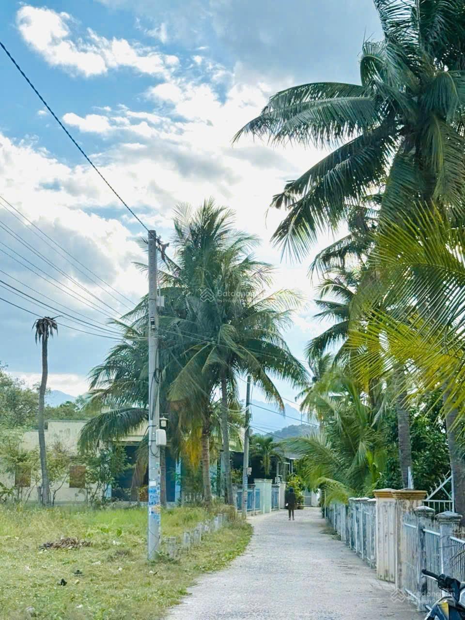 View Đầm Cam Hoà khu an toàn full thổ giá đầu tư