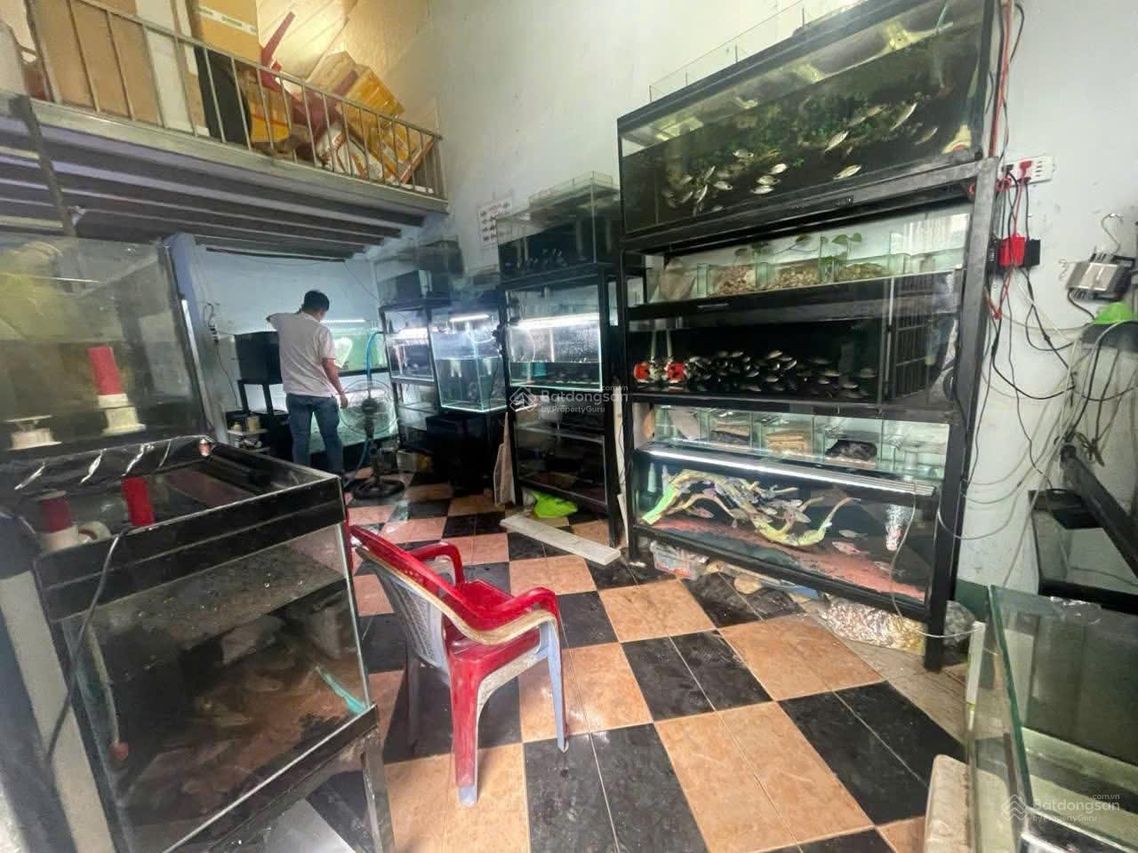 Bán đất tặng nhà trọ cũ,gần đường Hoàng Diệu 2, gần bên Đại học Sư Phạm Kỹ Thuật,gần ngã tư Thủ Đức Bán đất tặng nhà trọ cũ,gần đường Hoàng Diệu 2, gần bên Đại học Sư Phạm Kỹ Thuật,gần ngã tư Thủ Đức