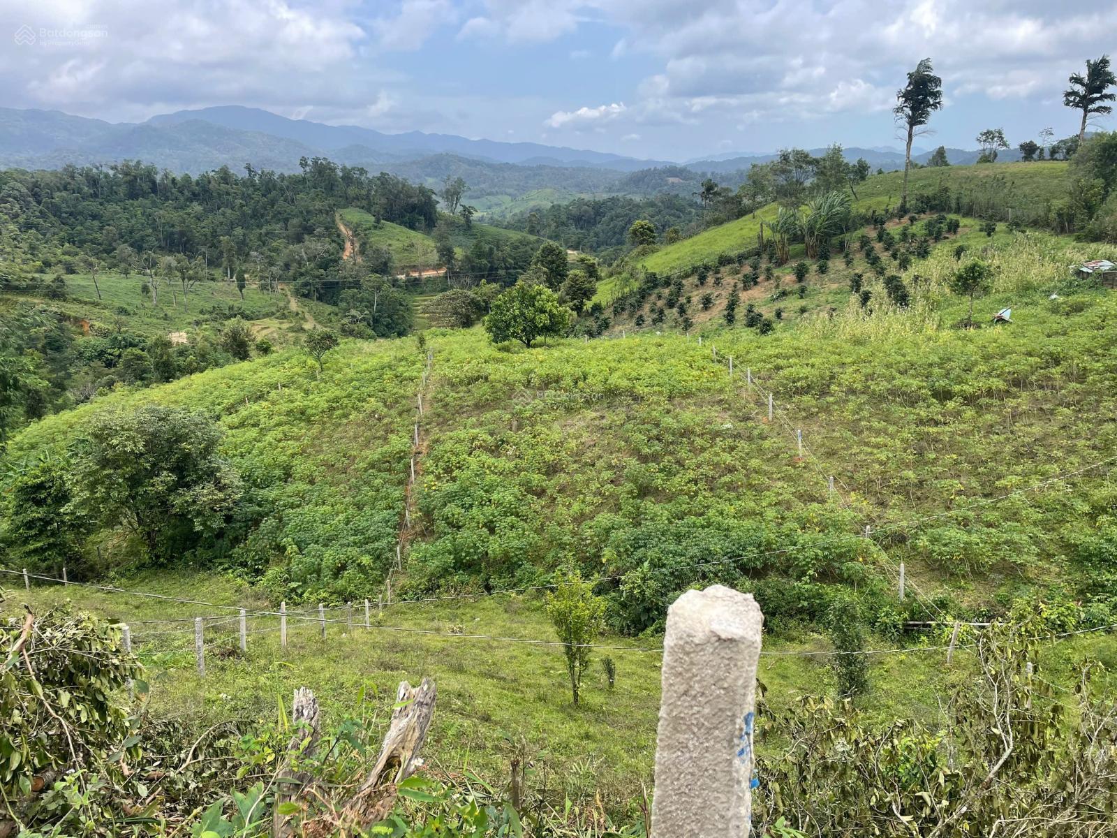 Lô biệt thự bán 2 con duy nhất 2 nền siêu vip sát Măng Đen. Có thổ cư