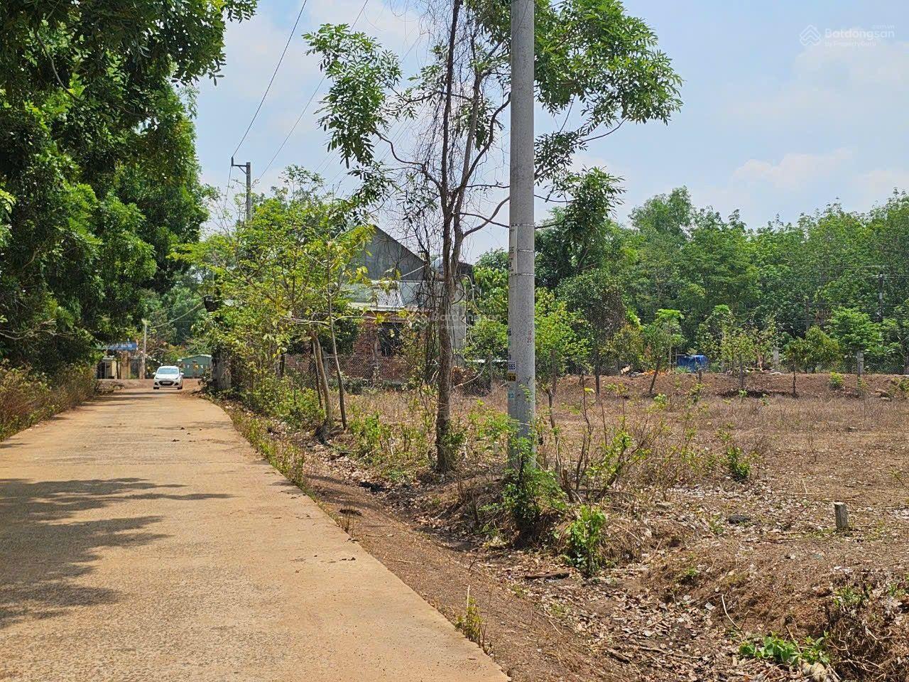 Cần bán 5 lô đất giá rẻ sau lưng trường THCS Lộc Khánh giá chỉ 350 triệu, Chính chủ uy tín