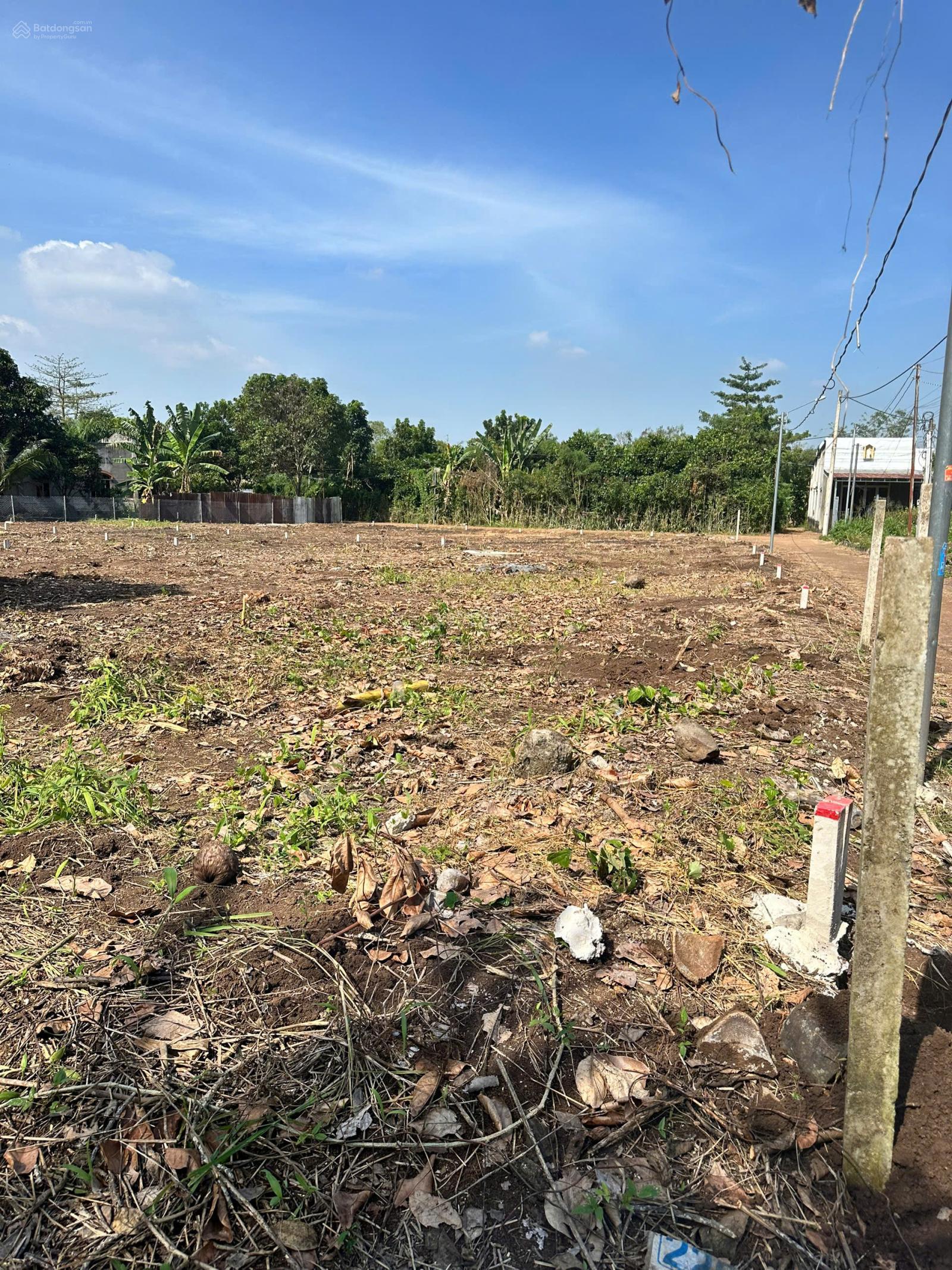 #Đất Long Khánh,DT: 5,2m x 24m nở hậu 5,9m giá 850 triệu #Đất Long Khánh,DT: 5,2m x 24m nở hậu 5,9m giá 850 triệu