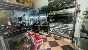 Bán dãy trọ 4 phòng - thu nhập 10tr/1 tháng - gần Lê Văn Chí, Hoàng Diệu 2