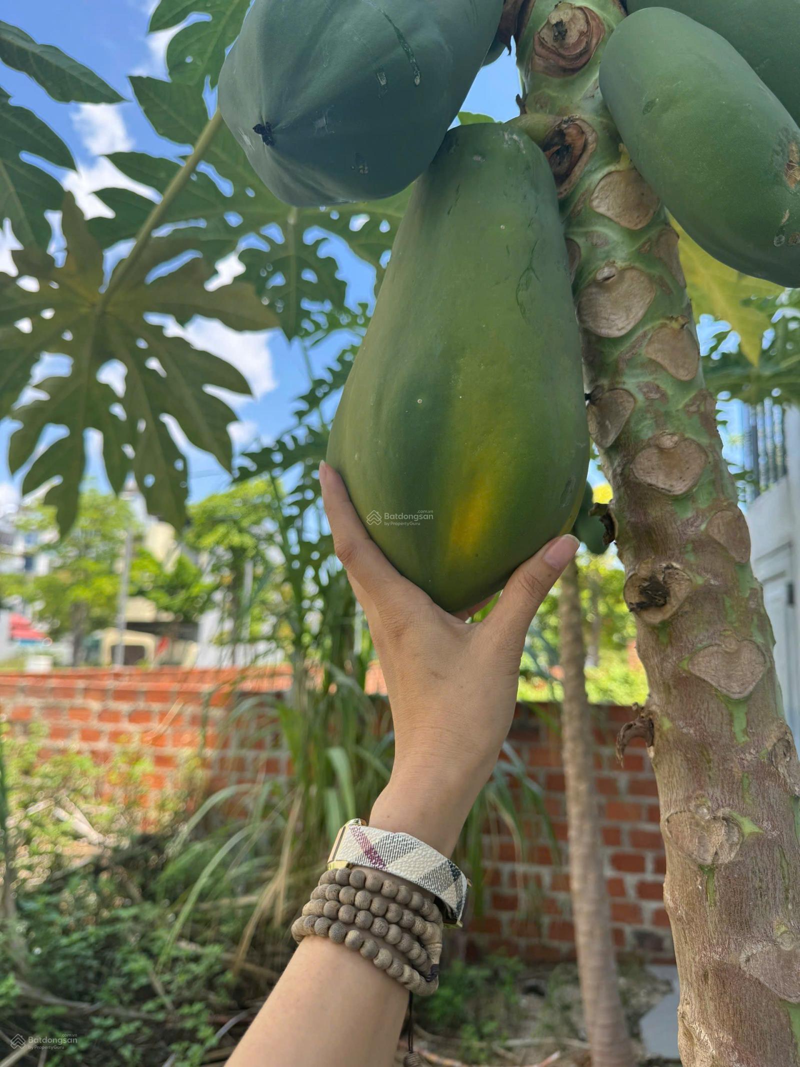 Hot Hot. Bán lô góc 412m2 đẹp và rẻ nhất dự án Đại Phú Gia. Mua ở, đầu tư, tích sản. Lh: 0934 136 *** Hot Hot. Bán lô góc 412m2 đẹp và rẻ nhất dự án Đại Phú Gia. Mua ở, đầu tư, tích sản. Lh: 0934 136 ***