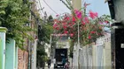48.3tr/m2 đất full thổ cư, vuông vức cách Phạm Văn Đồng 300m, xây dựng 1T2L, sân thượng