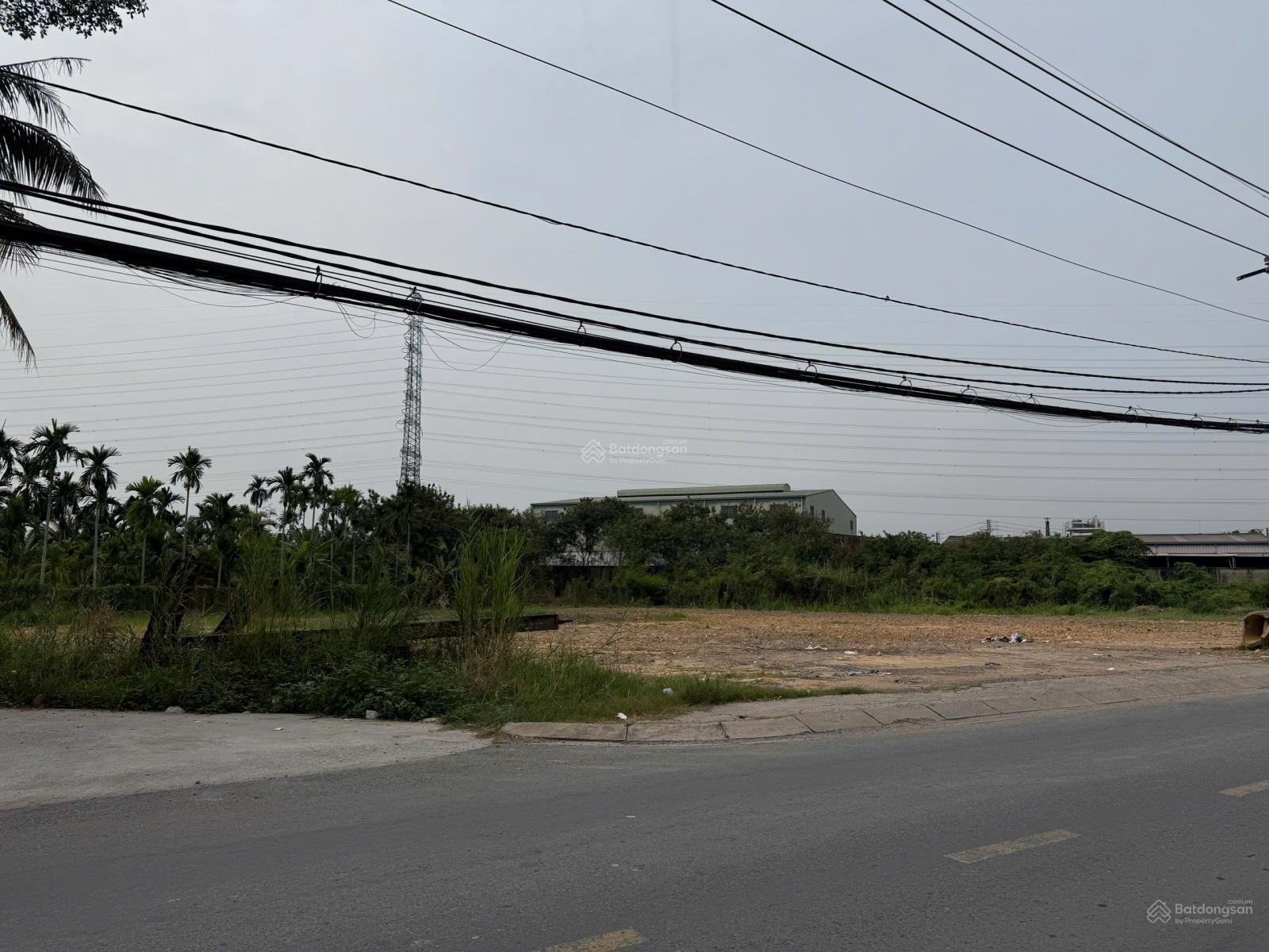 3 lô mặt tiền đường Bình Mỹ, giá F0, SHR, thổ cư, (6m x 30m) giáp Quận 12 và Hóc Môn 3 lô mặt tiền đường Bình Mỹ, giá F0, SHR, thổ cư, (6m x 30m) giáp Quận 12 và Hóc Môn