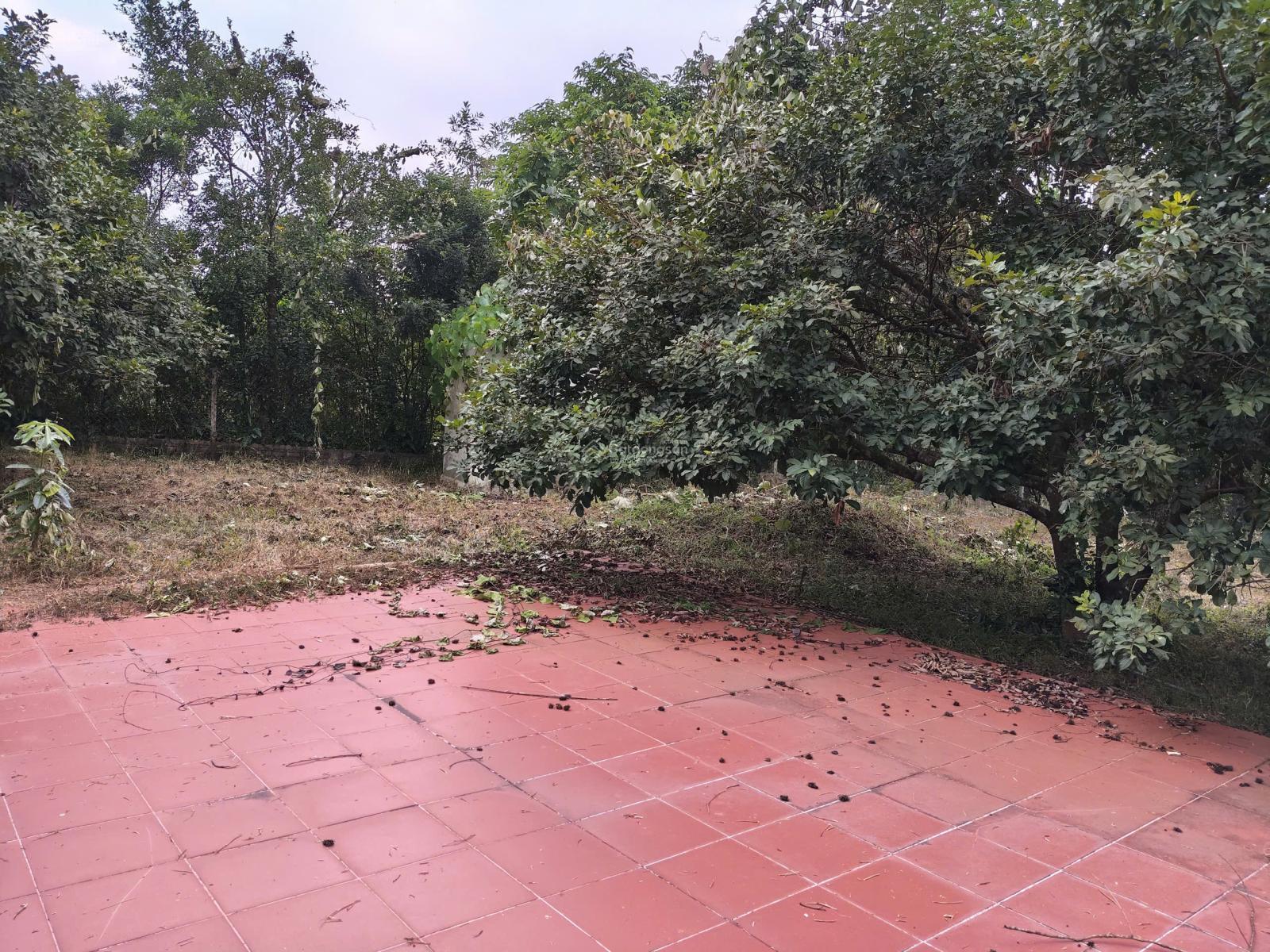 Bán đất gần 4600m2 gần khu du lịch Bà Nà