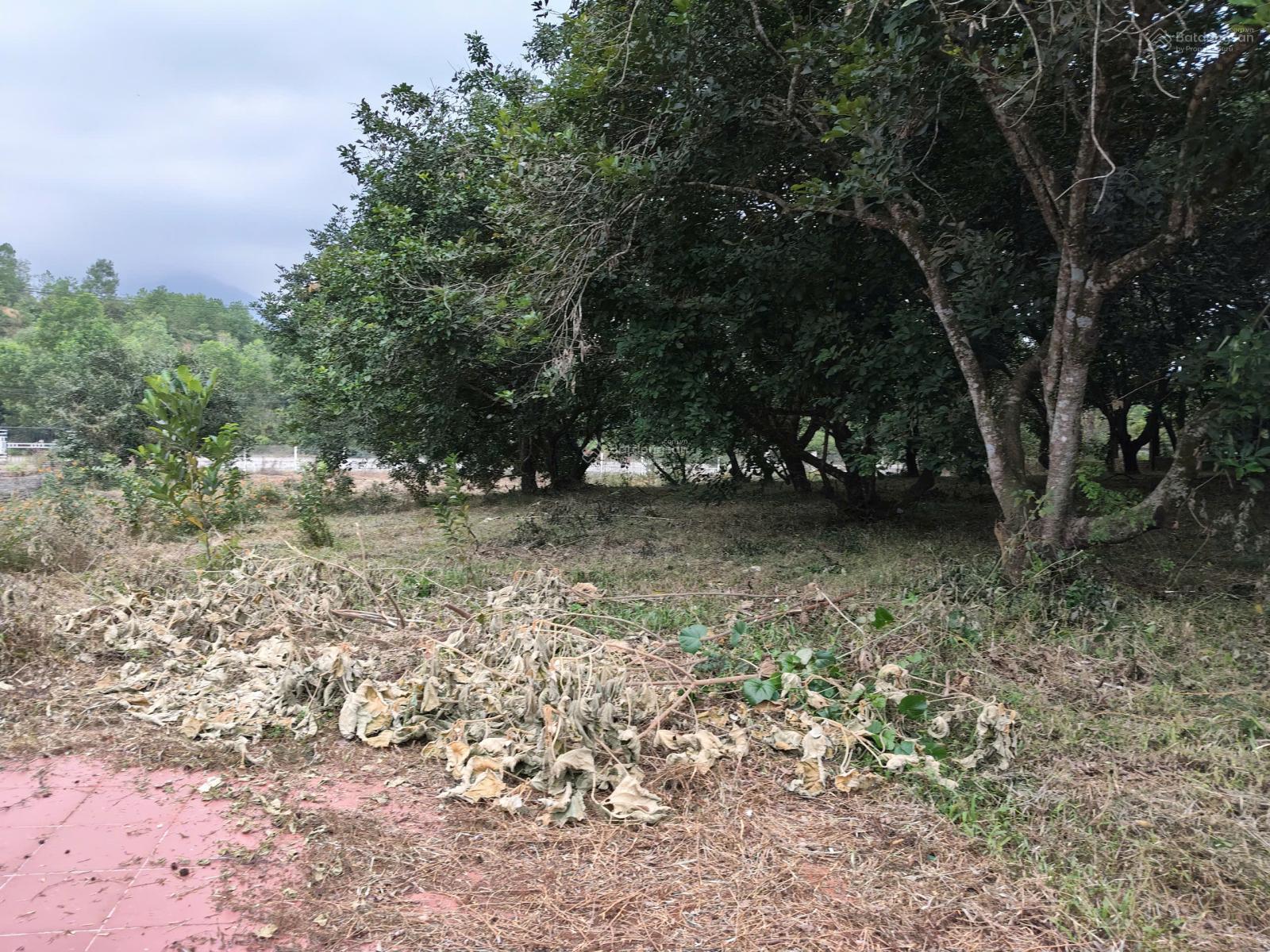 Bán đất gần 4600m2 gần khu du lịch Bà Nà