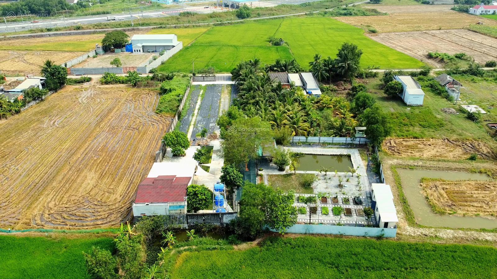 2664m2 đất thổ cư Mỹ Yên - Cách 2 cao tốc & Vành đai 3 chỉ 350m - Làm kho xưởng, nhà vườn