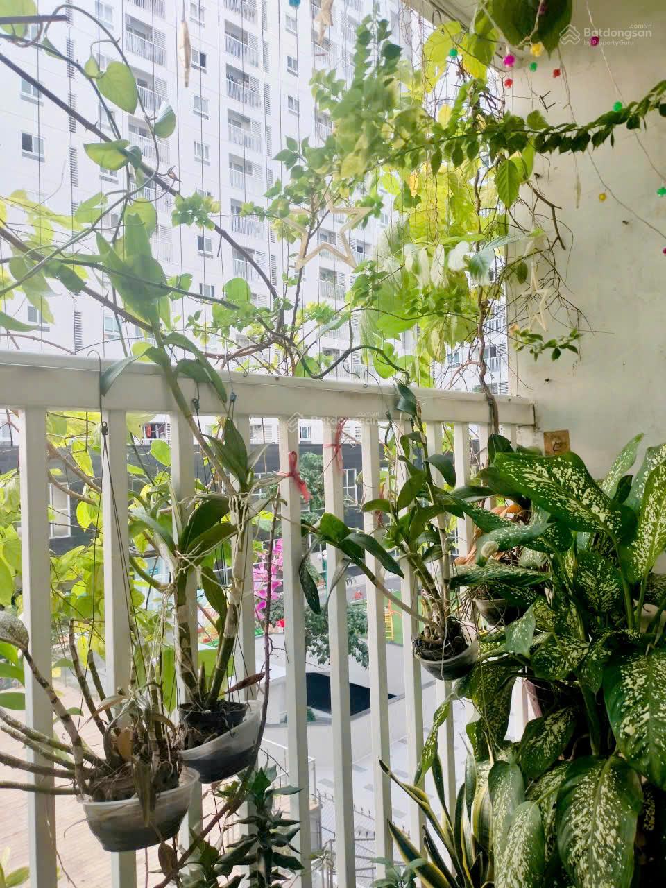 Cần bán căn hộ Tara Residence ,57m2, 3.150 tỷ .LH: 0901 341 *** Phương Cần bán căn hộ Tara Residence ,57m2, 3.150 tỷ .LH: 0901 341 *** Phương