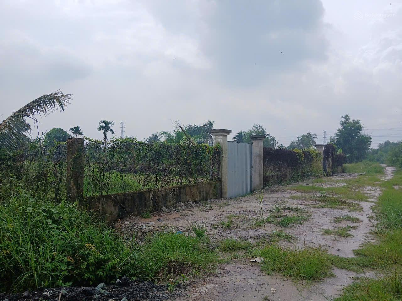 Bán đất cây lúa nước mặt tiền Đ. Nguyễn Hữu Cảnh nối dài 1 sẹc Hùng Vương, xã Phước An, Nhơn Trạch Bán đất cây lúa nước mặt tiền Đ. Nguyễn Hữu Cảnh nối dài 1 sẹc Hùng Vương, xã Phước An, Nhơn Trạch