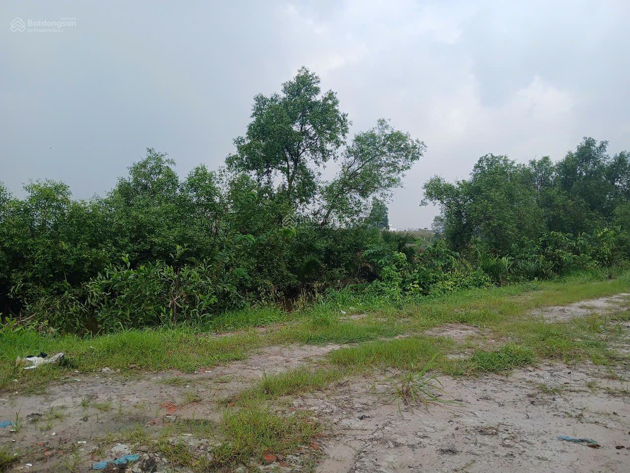 Bán đất cây lúa nước mặt tiền Đ. Nguyễn Hữu Cảnh nối dài 1 sẹc Hùng Vương, xã Phước An, Nhơn Trạch Bán đất cây lúa nước mặt tiền Đ. Nguyễn Hữu Cảnh nối dài 1 sẹc Hùng Vương, xã Phước An, Nhơn Trạch