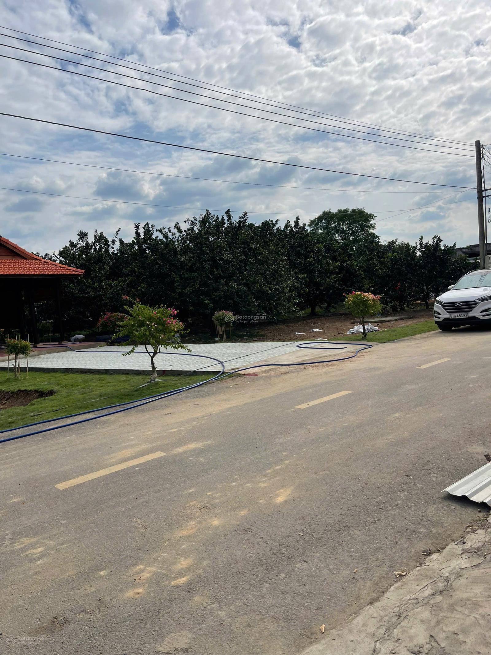 Cần tiền bán lô đất có sẵn vườn bưởi, 260m2 có 100m2 tc có sẵn gần 20 gốc bưởi đang thu hoạch Cần tiền bán lô đất có sẵn vườn bưởi, 260m2 có 100m2 tc có sẵn gần 20 gốc bưởi đang thu hoạch