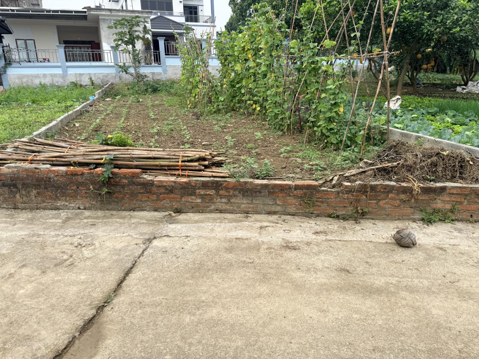 2 tỷ sở hữu ngay lô đất 100m2 full thổ cư đường thông ô tô tại Hoà Trúc Xã Phú Cát HN 2 tỷ sở hữu ngay lô đất 100m2 full thổ cư đường thông ô tô tại Hoà Trúc Xã Phú Cát HN