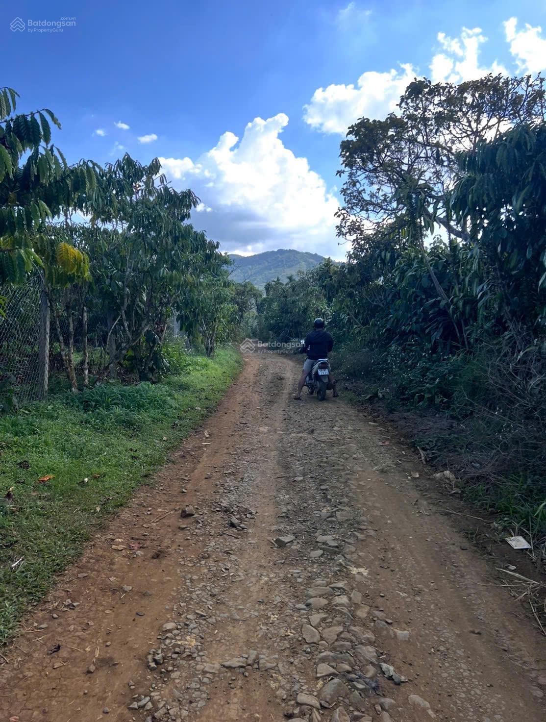 3,3 sào đường Ngô Đức Kế (gần đường 1/5) , phường B'Lao, Bảo Lộc 3,3 sào đường Ngô Đức Kế (gần đường 1/5) , phường B'Lao, Bảo Lộc