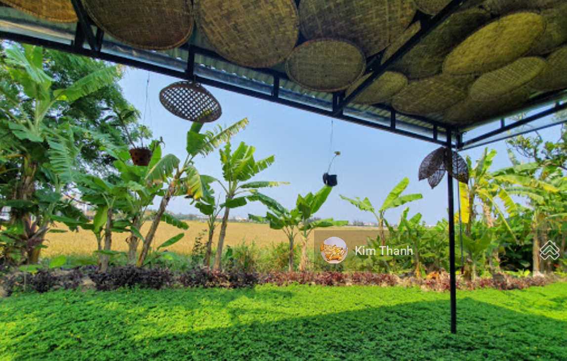 Chủ kẹt tiền bán gấp lô đất mặt tiền Cẩm Thanh, 1.500m2, 1.000m2 đất ở, giá 20 tỷ