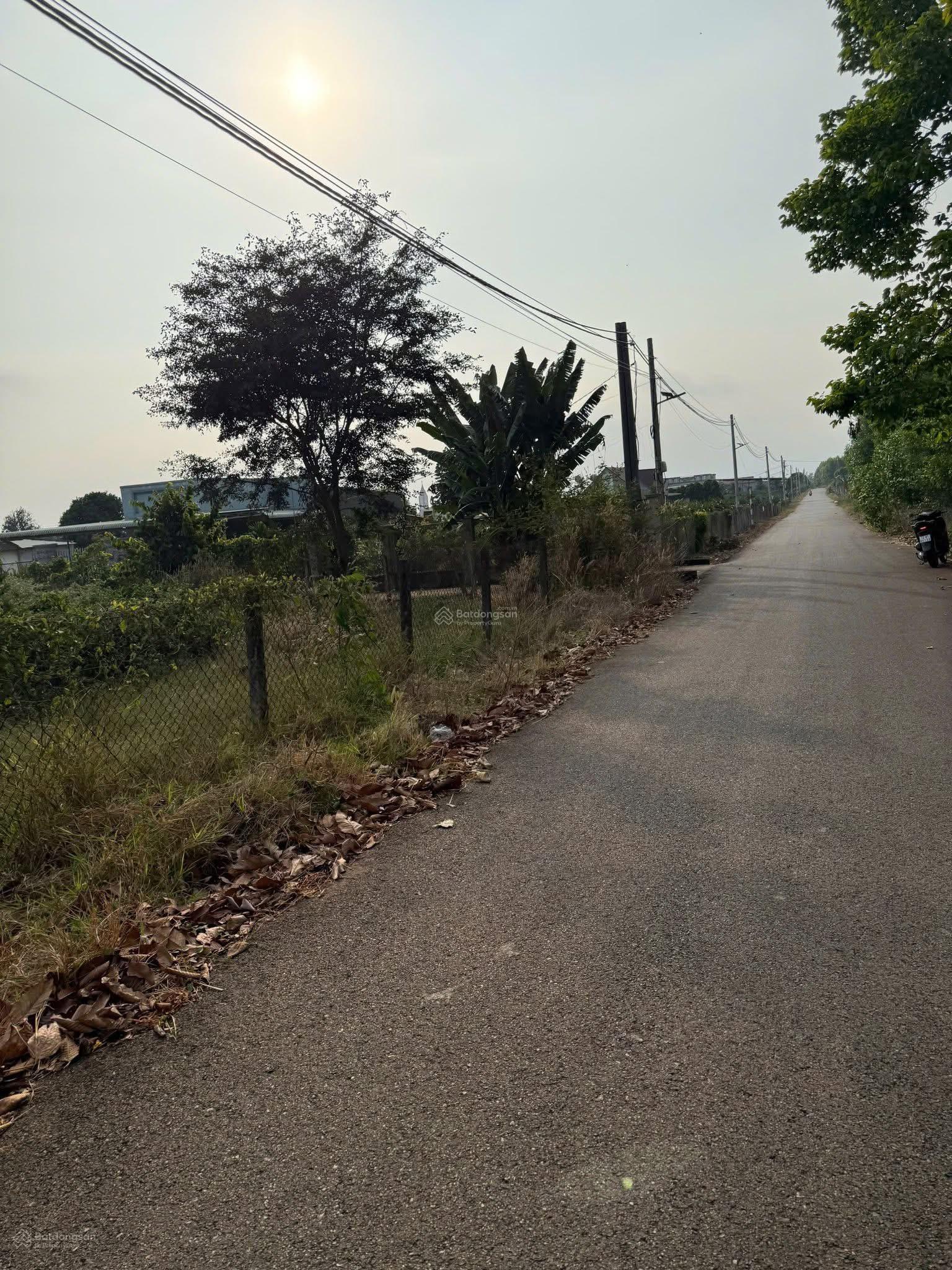 Bán đất biển xã bông trang dt: 353m2 có 80m2 thổ cư ngang 15mx23m đường nhựa 8m,khu dân cư