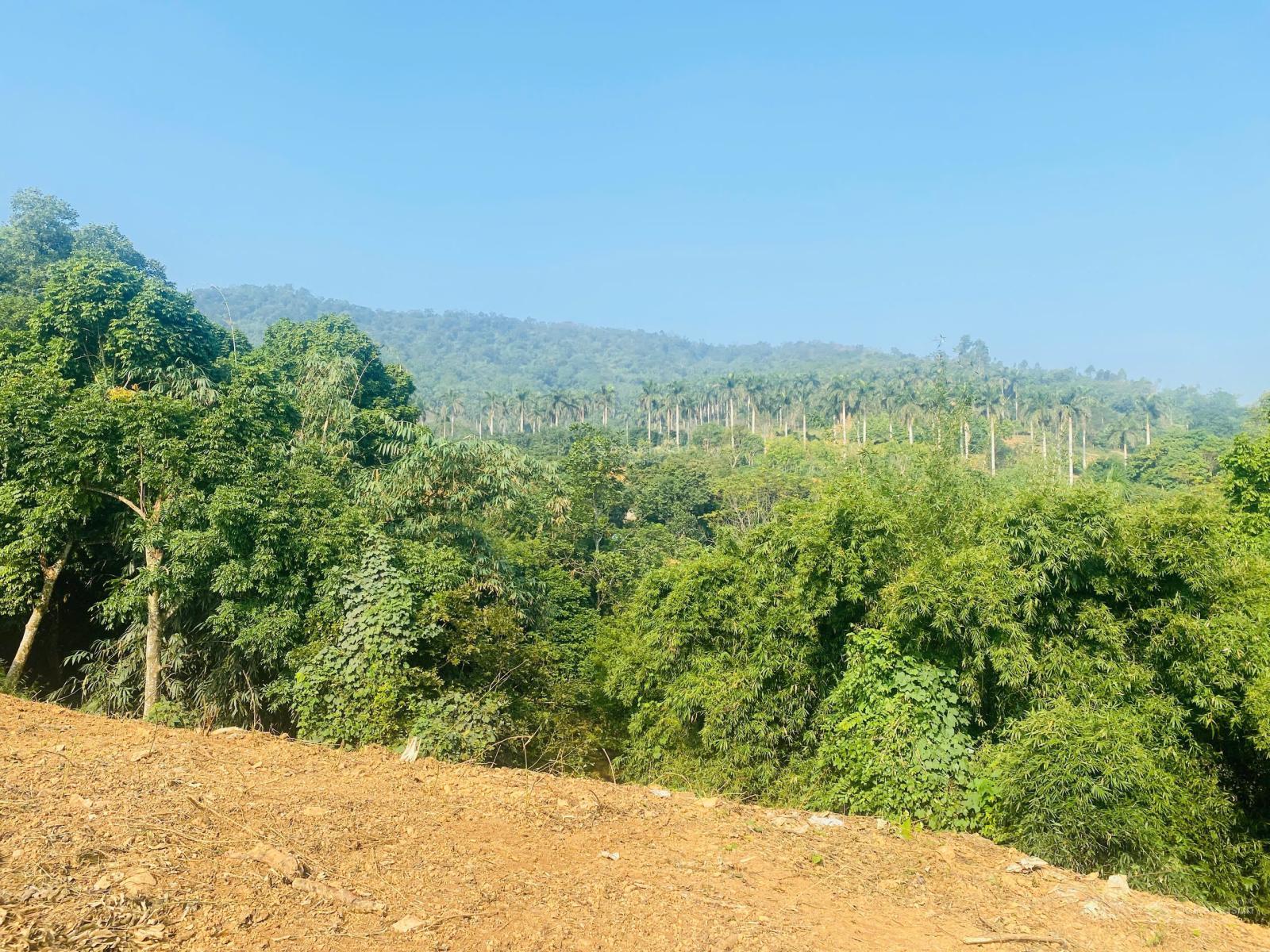 Cần bán lô đất 1974m2 vị trí đẹp tại Hòa Sơn Lương Sơn Hòa Bình, rất phù hợp làm homestay, farm