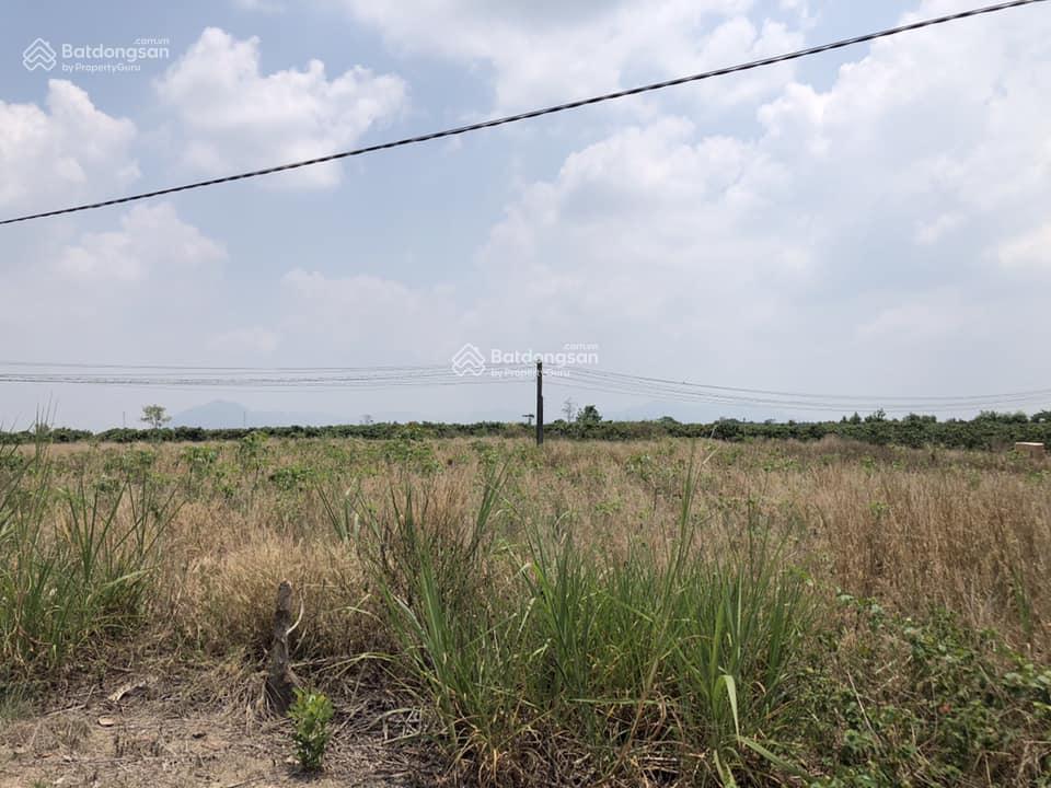 Bán lô đất chính chủ diện tích 732mv có 100 thổ cư đất ở đô thị Ea Kar, Đắk Lắk