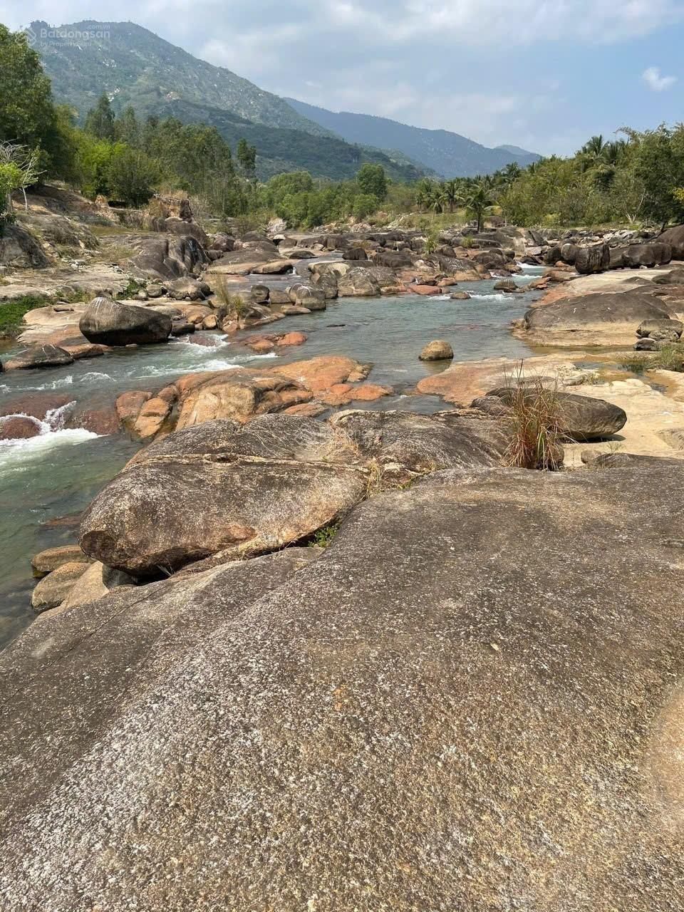 BÁN FARM NGHỈ DƯỠNG MẶT TIỀN BÁM ĐƯỜNG 130 MÉT  CAM LÂM, KHÁNH HÒA ( Giáp Nha Trang) chỉ 700k/m2