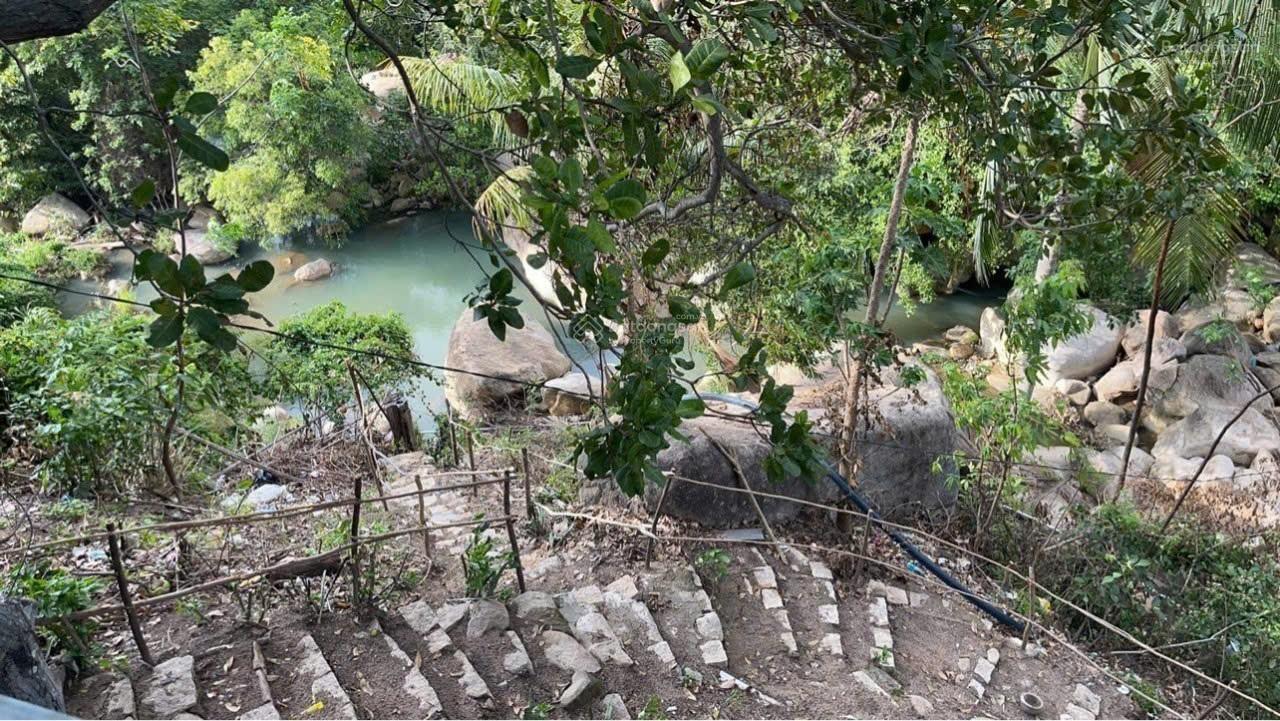 BÁN FARM NGHỈ DƯỠNG MẶT TIỀN BÁM ĐƯỜNG 130 MÉT  CAM LÂM, KHÁNH HÒA ( Giáp Nha Trang) chỉ 700k/m2