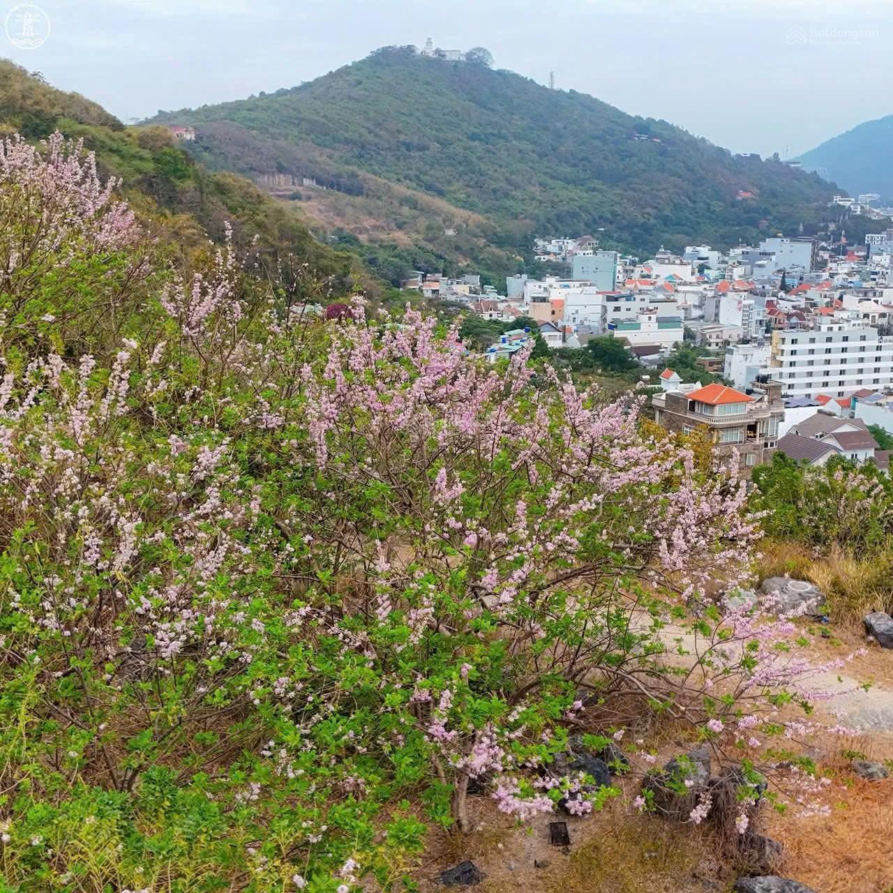 HẠ GIÁ BÁN NHANH BIỆT THỰ PHƯỜNG 4, ĐƯỜNG YÊN BÁI, KHU CÁN BỘ CÔNG AN, TP VŨNG TÀU CHỈ CÒN 18.8 TỶ