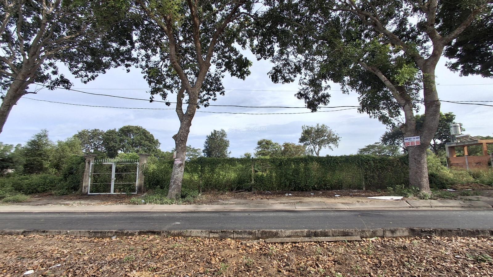 Cập nhập giá đất T1/ 2026 khu dân cư Tân Phúc Hưng - Cần Giờ