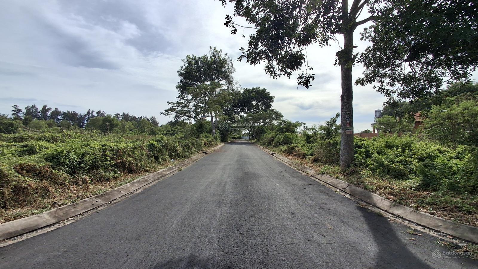 Cập nhập giá đất T1/ 2026 khu dân cư Tân Phúc Hưng - Cần Giờ