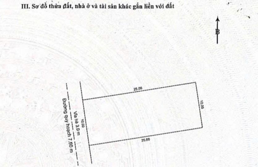 Siêu vip! Bán đất biệt thự 250m2 46,25 tỷ - MT Hoa Phượng - Q. Sơn Trà