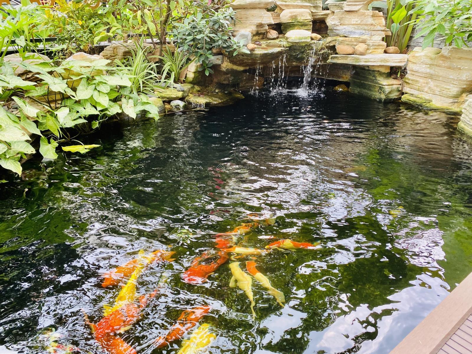 Bán nhanh biệt thự VIP H10 Starlake, 134,9 tỷ, 192,8m2, view đẹp, nhiều tiện ích. Liên hệ xem nhà.