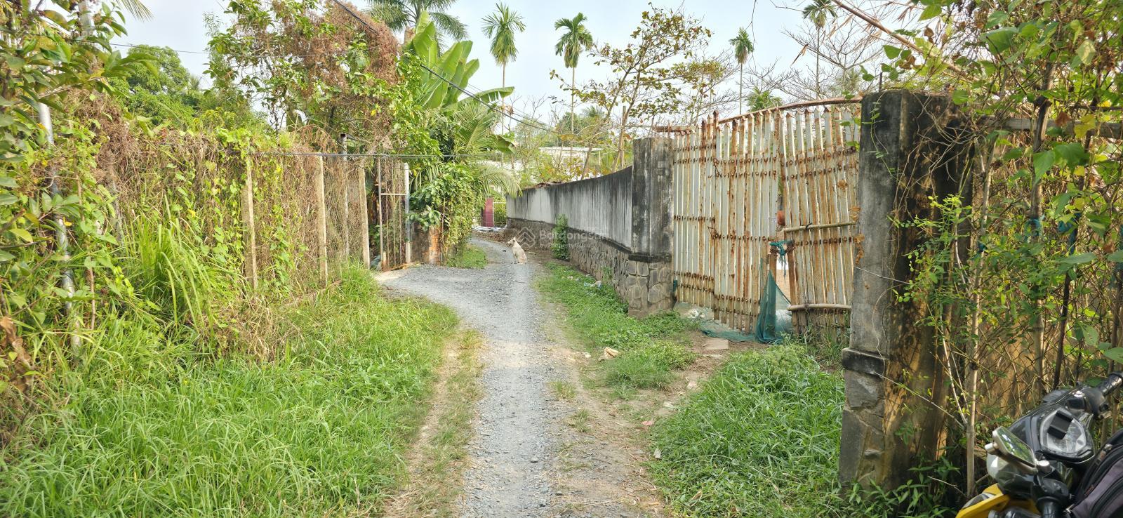 Bán 1.114m2(32x34), có 272m2 thổ cư, gần khu làng ĐH, giá chỉ 10,5 tỷ. P Long Phước, Quận 9, HCM