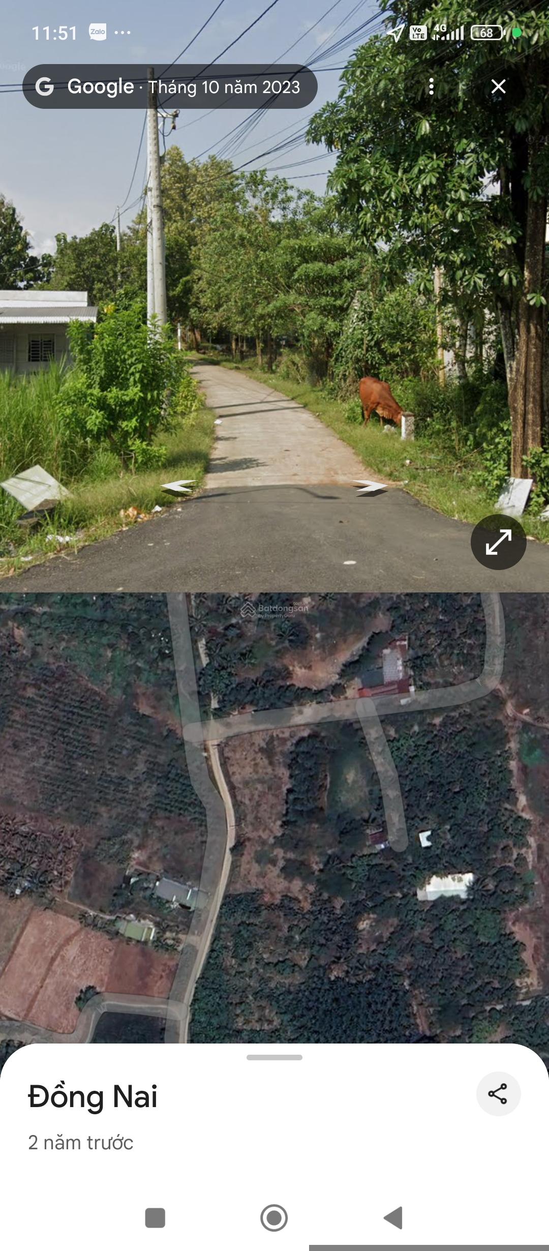 Cần bán 1.3ha (300m2 thổ) 7 tỷ, nhà đất xã Ngọc Định - Định Quán, phù hợp làm trắng trại nhà vườn