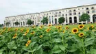 Suất ưu đãi: Biệt thự sông khu đô thị xanh Vạn Phúc City Thủ Đức giá rẻ, 7 * 23, 11 * 23 SHR. HOT!