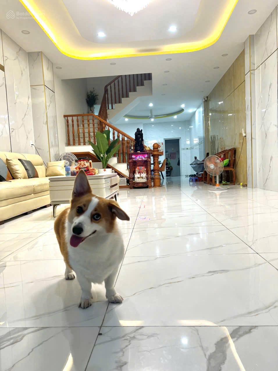 Nhà 5 tầng xây mới 5x20m ngay aeon mall khu ao Sen Tên Lửa 15.5 tỷ TL