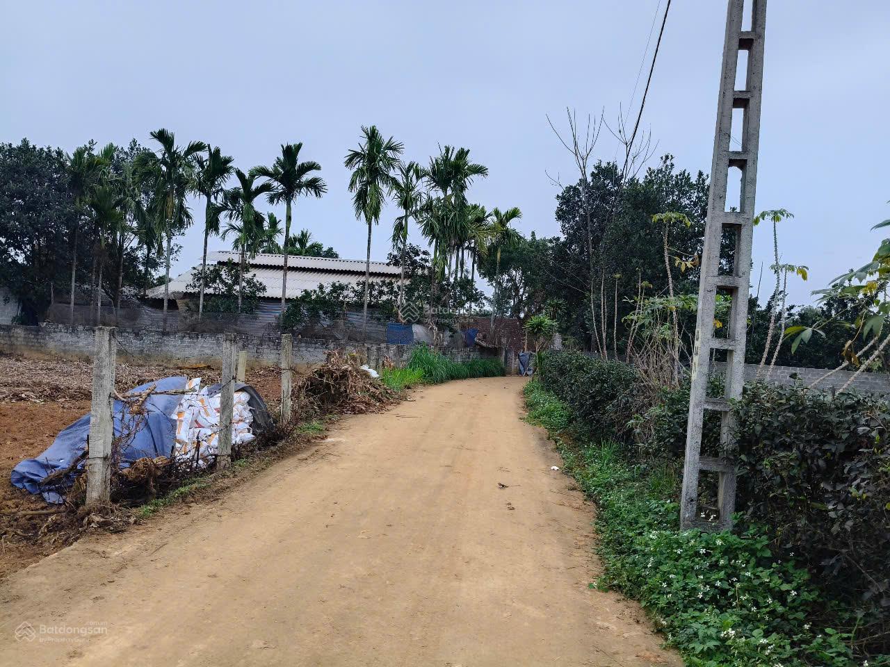 Mảnh đất nghỉ dưỡng 32m MT tại Minh Quang, cách trục chính vài bước chân, view núi thoáng, mát mẻ