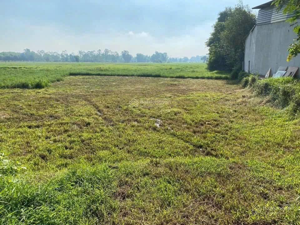 Tôi chính chủ kẹt tiền cần bán gấp lô đất vườn có thổ cư ở Củ Chi