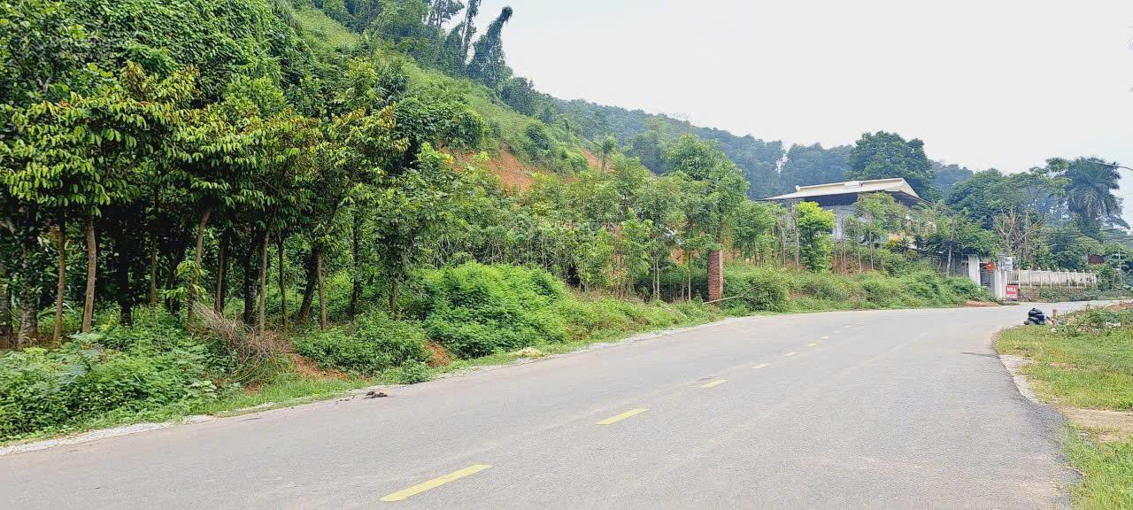 Bán gấp lô đất 30m mặt đường nhựa gần KDL Ao Vua, đầu tư kinh doanh, phân lô, nghỉ dưỡng đều hợp lý Bán gấp lô đất 30m mặt đường nhựa gần KDL Ao Vua, đầu tư kinh doanh, phân lô, nghỉ dưỡng đều hợp lý