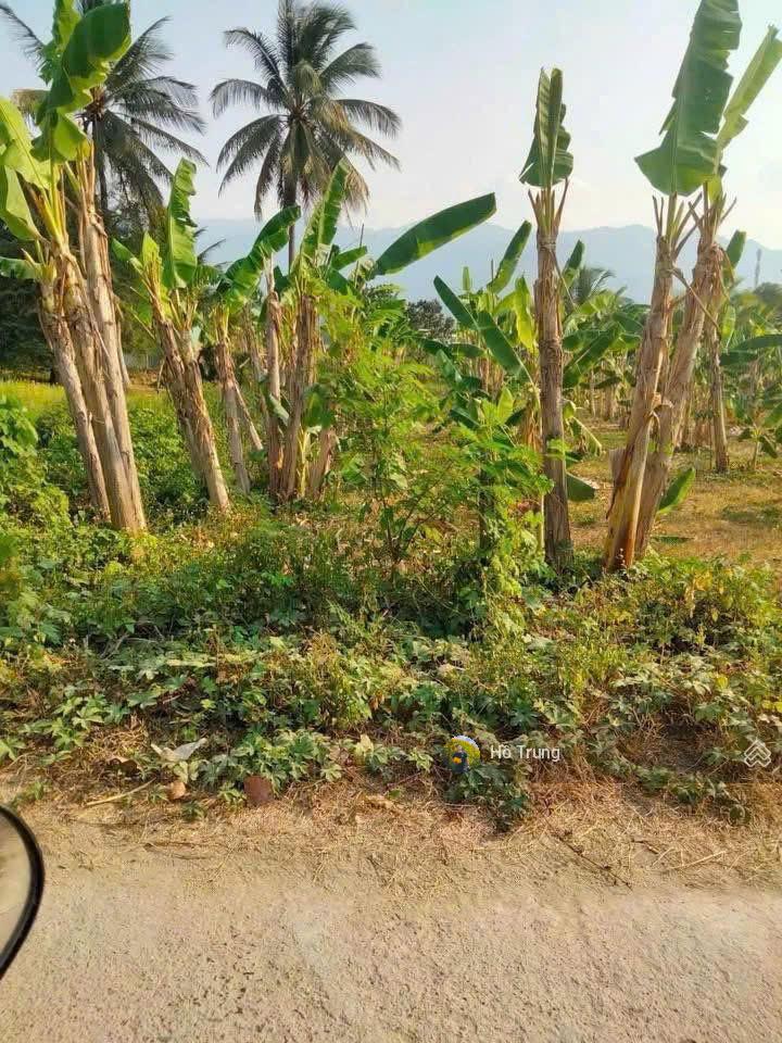 Bán mảnh vườn ngay UBND xã Diên Tân, có thổ cư giá tốt