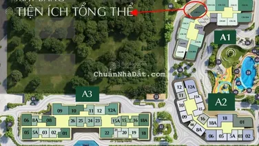 Anh trai cần bán gấp căn 3n2vs tòa A1 trục 12 giá gần 106tr/m2 thanh toán sớm giá 8.850 tỷ thu về