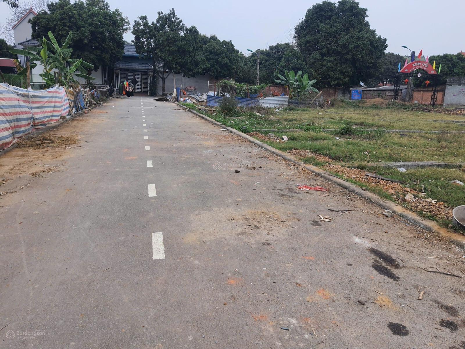 Vườn cây Lương Sơn, Đông Sơn chưa bao giờ hết Hot, chỉ 2.x tỷ