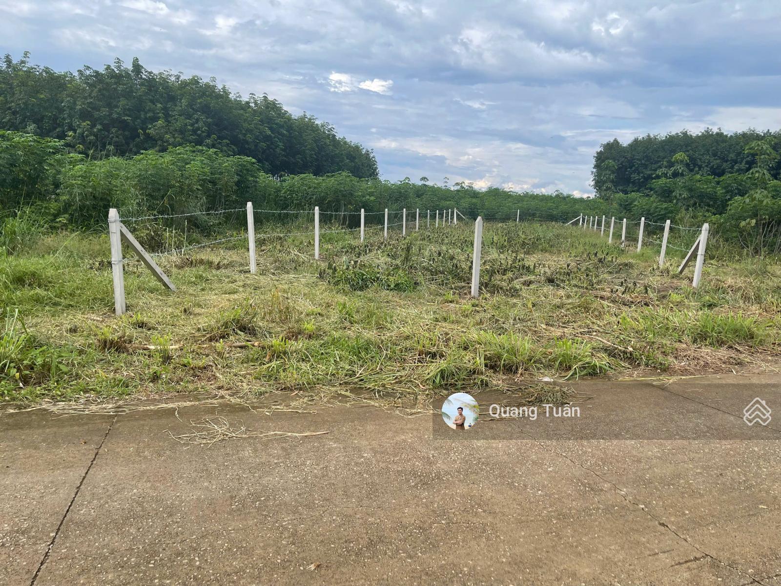 Chính chủ cần ra gấp lô đất 258,4m2 gần UBND Phước Thành, TP. HCM, khu dân cư hiện hữu, sổ sẵn