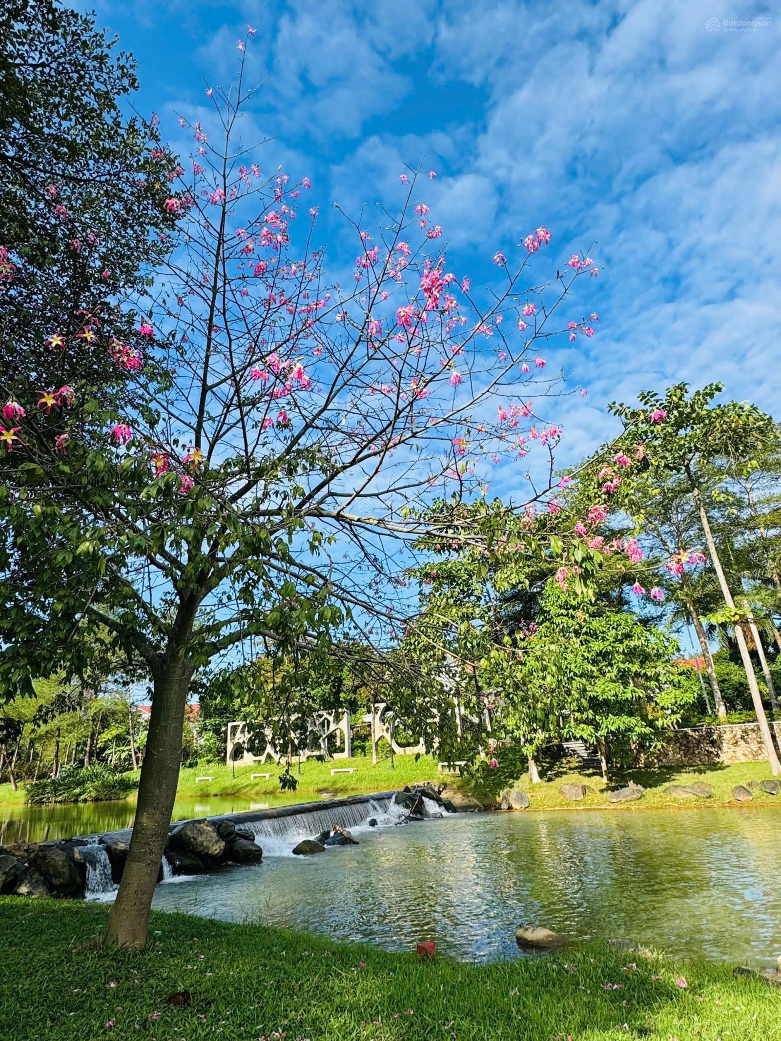 Tổng hợp quỹ căn chuyển nhượng trước tết tại Xanh Villas khu A - B - C | diện tích 200m2 - 800m2