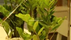 Newhouse cập nhật rổ hàng thuê Q7 Boulevard Office Tel - 1PN-2PN-3PN chỉ từ 6 triệu - 9/2/2026