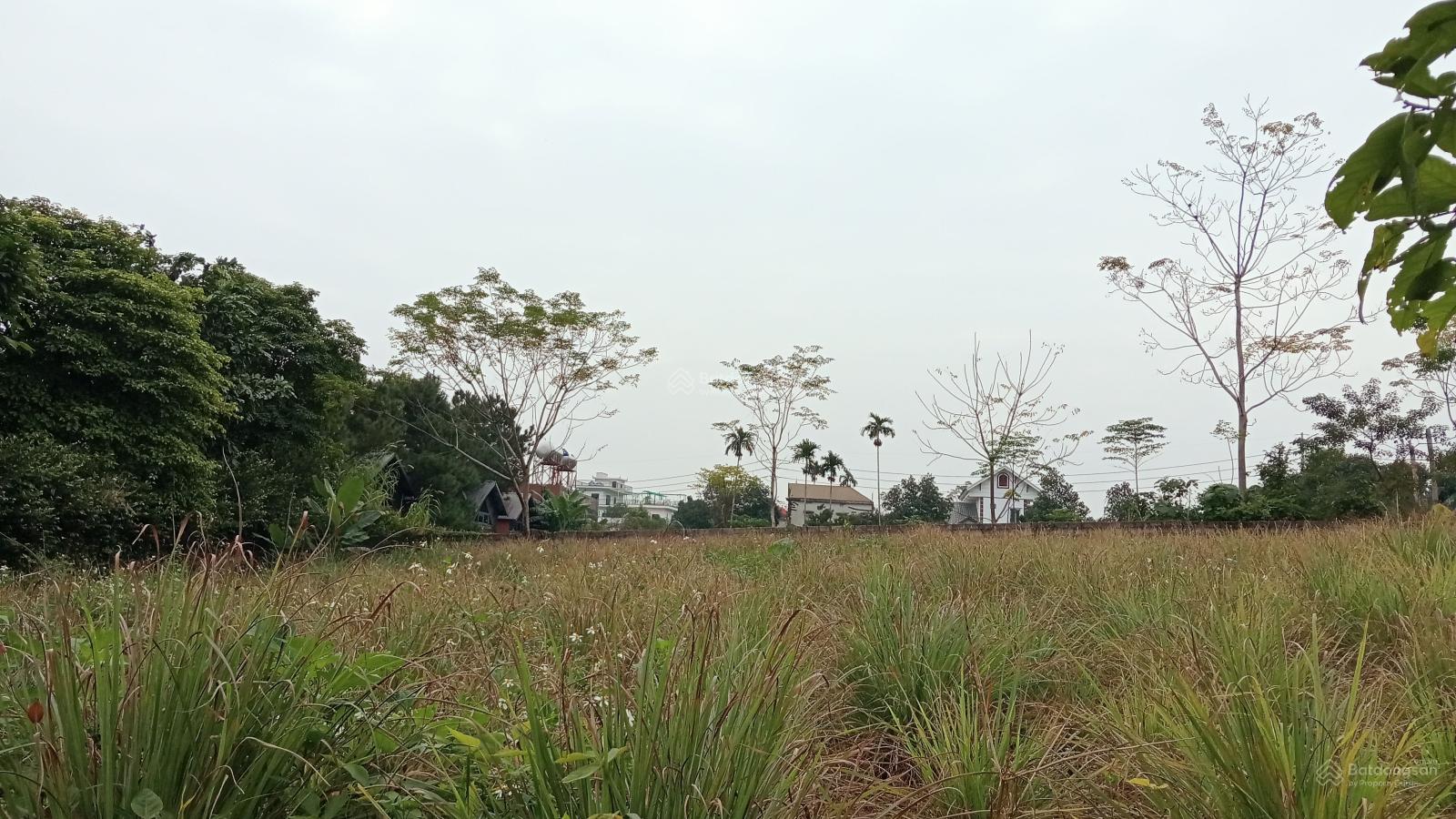 Bán lô đất 2102m2 thổ cư 160 m2 mặt tiền 19 m giá 5,2tr/m2 tại Yên Bái Hà Nội rất phù hợp phân lô