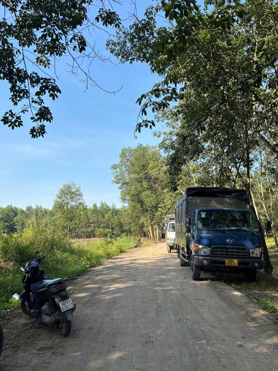 Bán đất sổ riêng thổ cư xã Đồi 61 Trảng Bom Đồng Nai nay thuộc xã An Đồng Nai Viễn 100m2 giá 850tr