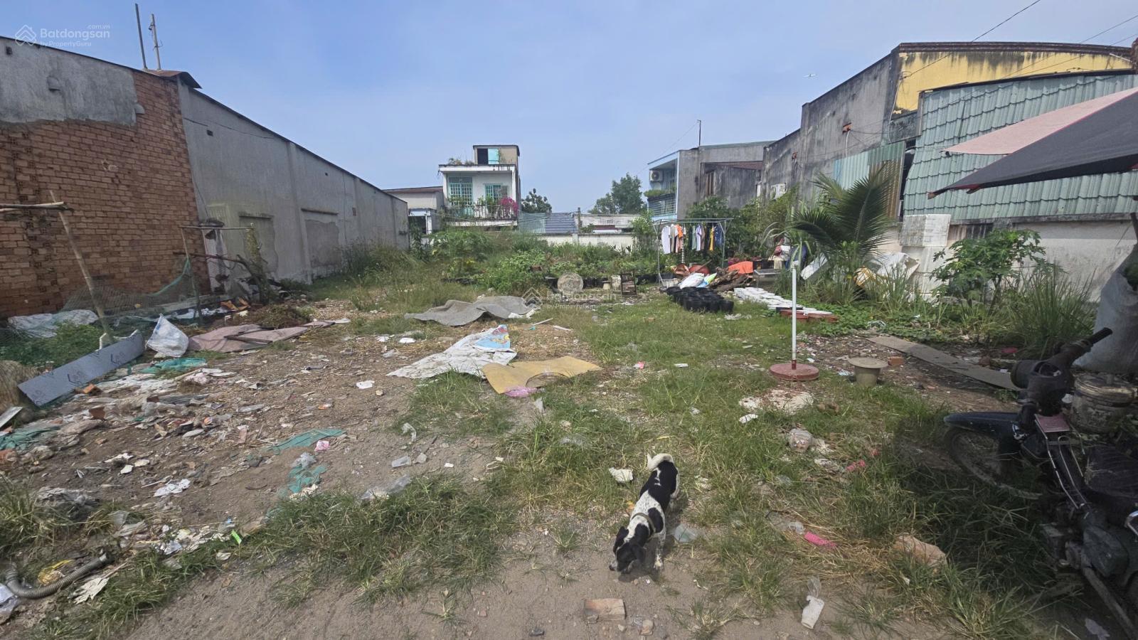 BÁN ĐẤT THỔ CƯ MT NGUYỄN XIỂN 7x24M giá 14 Tỷ BÁN ĐẤT THỔ CƯ MT NGUYỄN XIỂN 7x24M giá 14 Tỷ