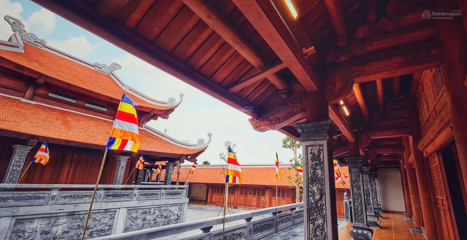 Đồi Rồng biệt thự 200m² mặt tiền 10m vị trí đẹp