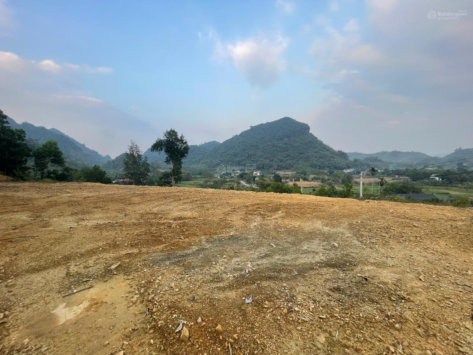 Mảnh đất Thanh Sơn có 51m mặt đường nhựa liên thôn, view đồi chè thoáng mát, nghỉ dưỡng thì hết ý