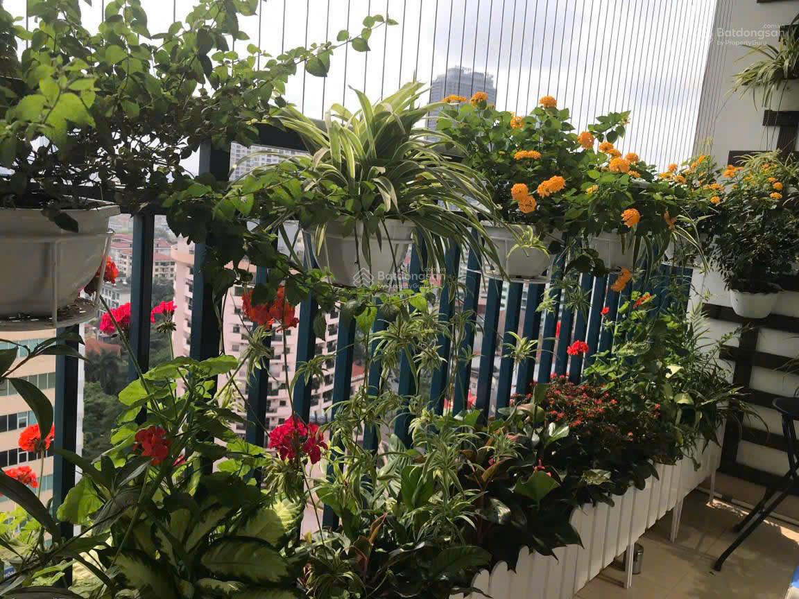 Nhà em bán căn hộ 175m2, 3PN góc view đẹp tòa Pacific 83 Lý Thường Kiệt gái 98tr/m2. LH 0888 486 ***