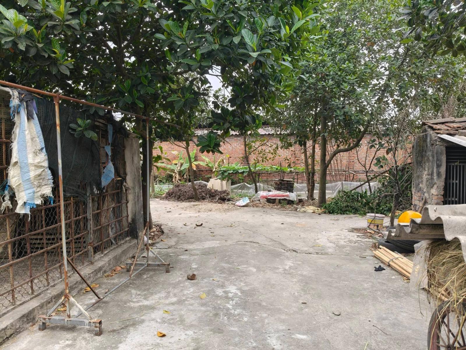 13000m2, đất ruộng SXNN, sẵn nhà kho, MT 150m, 6.5 tỷ, có TL, Thụy Lâm, Đông Anh