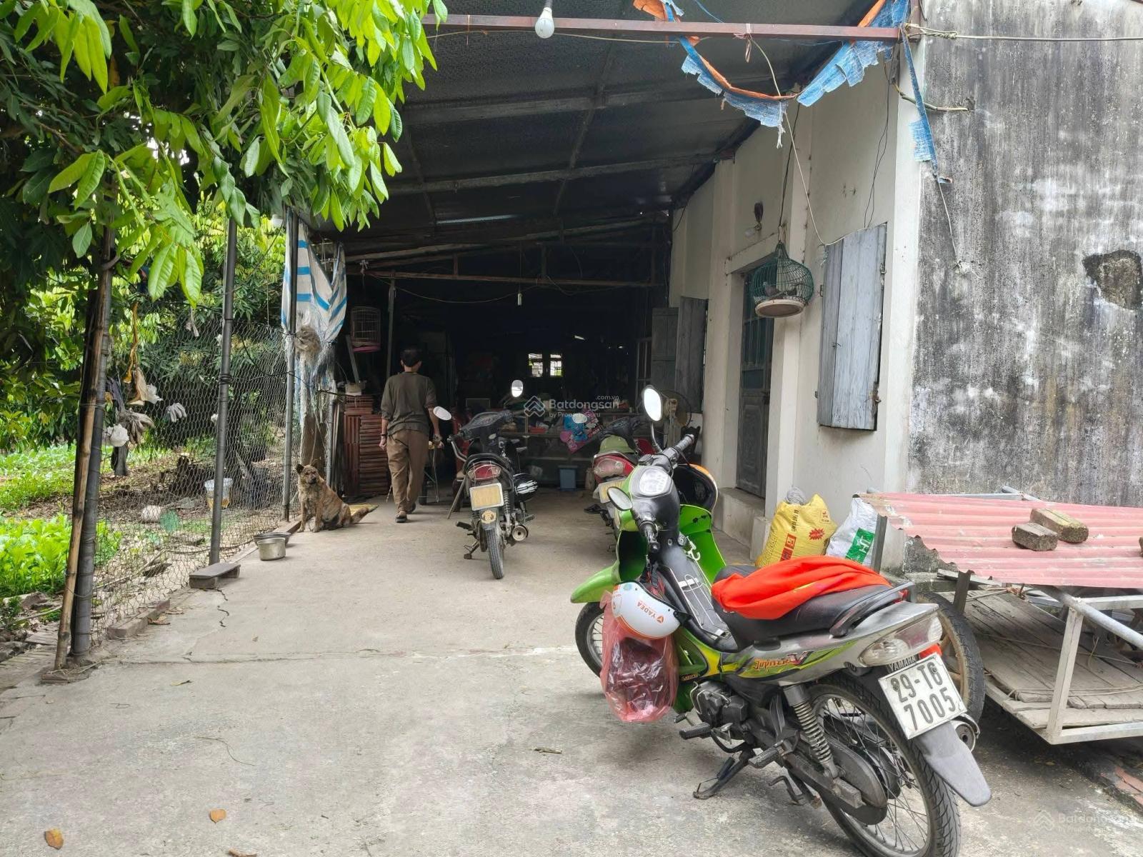 13000m2, đất ruộng SXNN, sẵn nhà kho, MT 150m, 6.5 tỷ, có TL, Thụy Lâm, Đông Anh